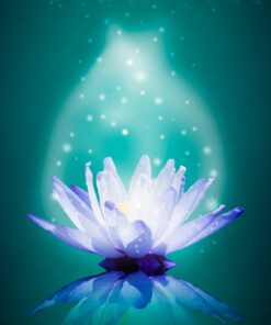 photo illustrant un lotus lumineux