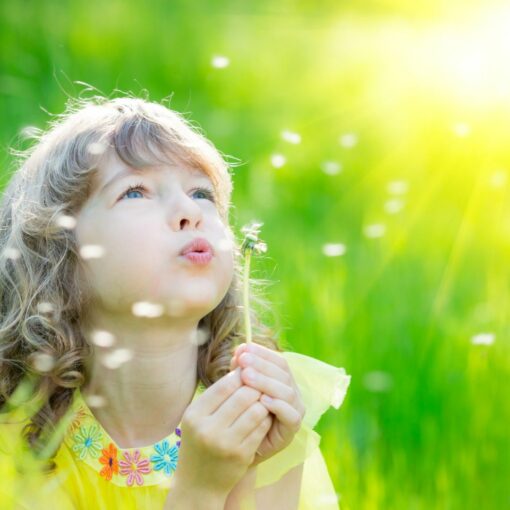 photo enfant et fleurs