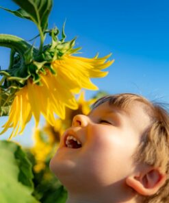 photo enfant et tournesol