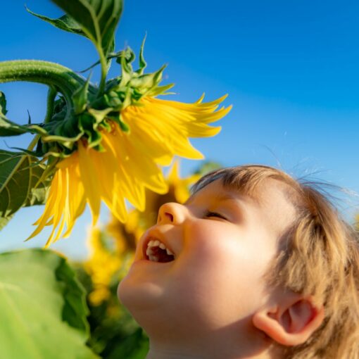 photo enfant et tournesol